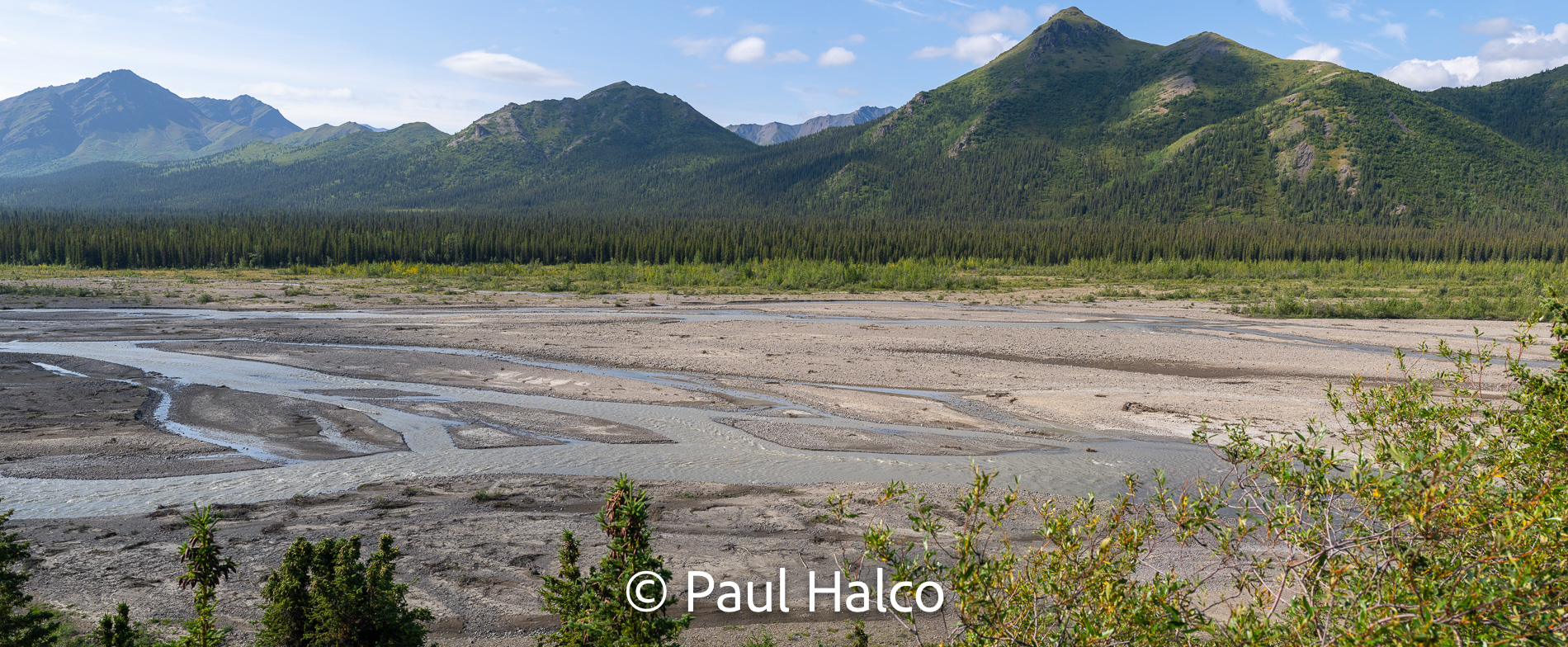 Paul Halco - Denali NP-17